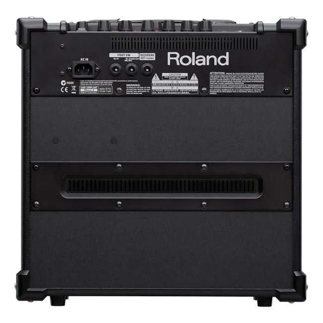 Amplificador Roland Cube-20GX