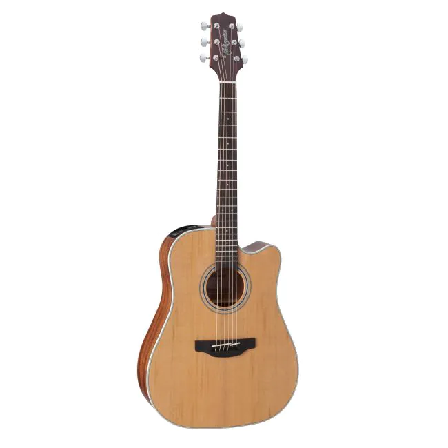 タカミネ海外輸出モデルGD-20CE-ns、 Violão Takamine GD20CE NS