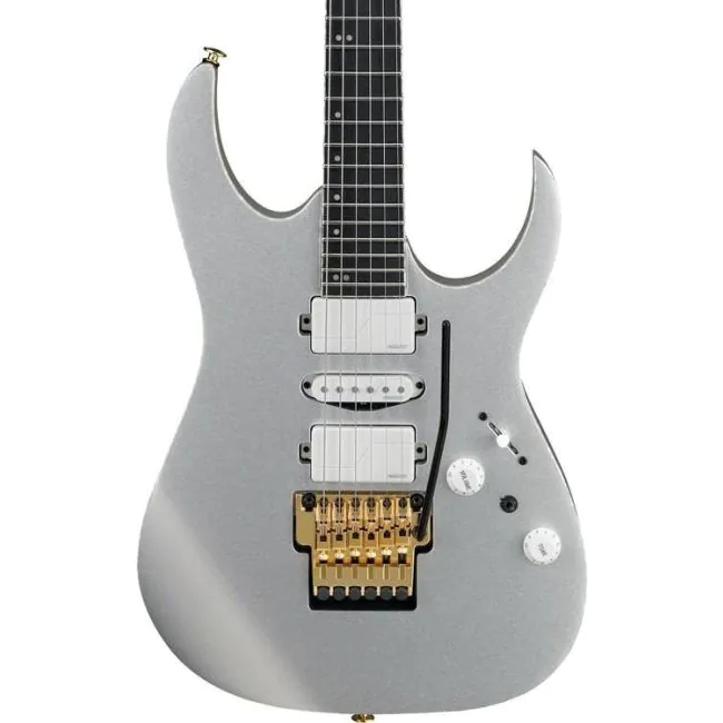 ギター Ibanez RG5170G SVF Guitarra Ibanez RG5170G-SVF Prestige Silver Flat 6C