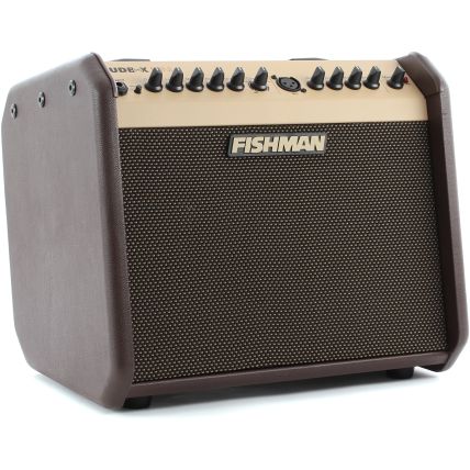Amplificador Fishman Loudbox Mini