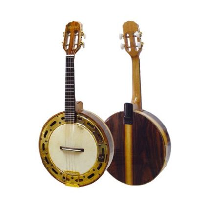 Banjo Rozini RJ12ELN