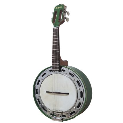 Banjo Rozini RJ11ELV