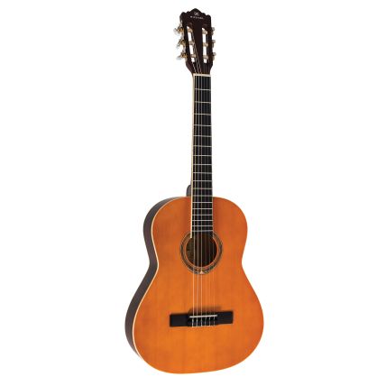 Violão Michael VM16E NS