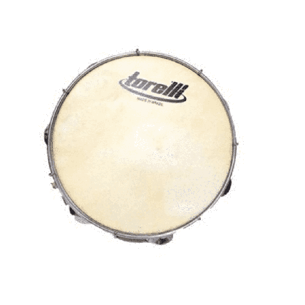 Pandeiro Torelli 10 Injetado Pele Animal – TP300BC