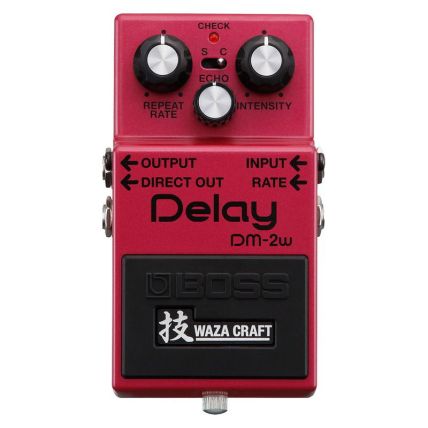 Pedal Boss DM 2W Delay