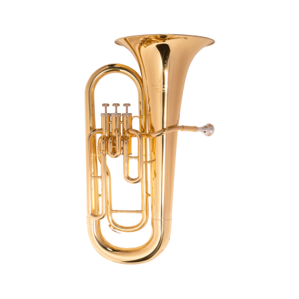 Bombardino Michael WEPM40N 