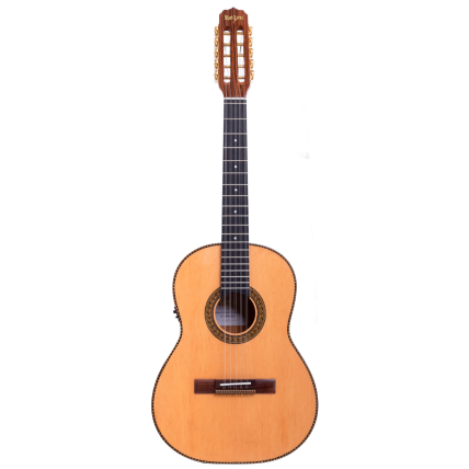 Viola Rozini Presenca Brasil Esplendor Classica RV115FPPNLP At Fishman Presys