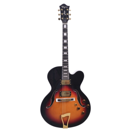 Guitarra Tagima Signature Sandro Haick SB Semi Acustica 2H Com Case Cor Sunburst 7287